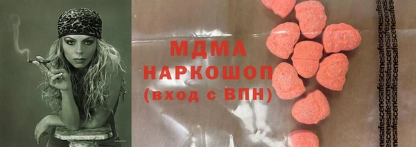 индика Ельня