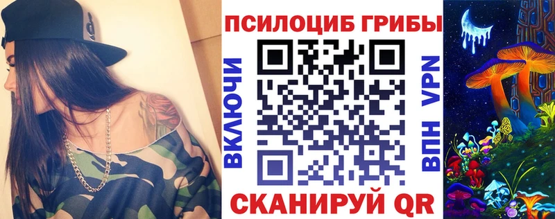 это клад  Кинешма  Псилоцибиновые грибы Psilocybe 