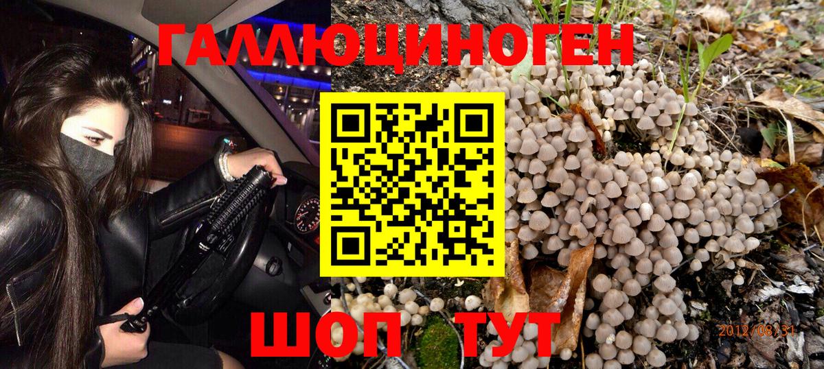 Псилоцибиновые грибы Cubensis  закладки  Кинешма 