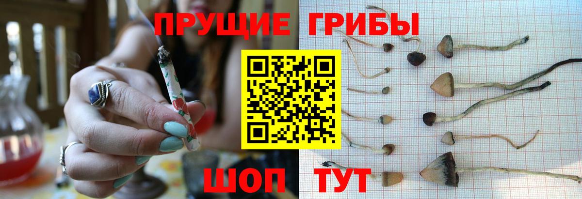 Псилоцибиновые грибы MAGIC MUSHROOMS Кинешма