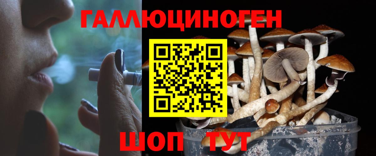 Кинешма  Галлюциногенные грибы Magic Shrooms  Вход с VPN  Галлюциногенные грибы Magic Shrooms 